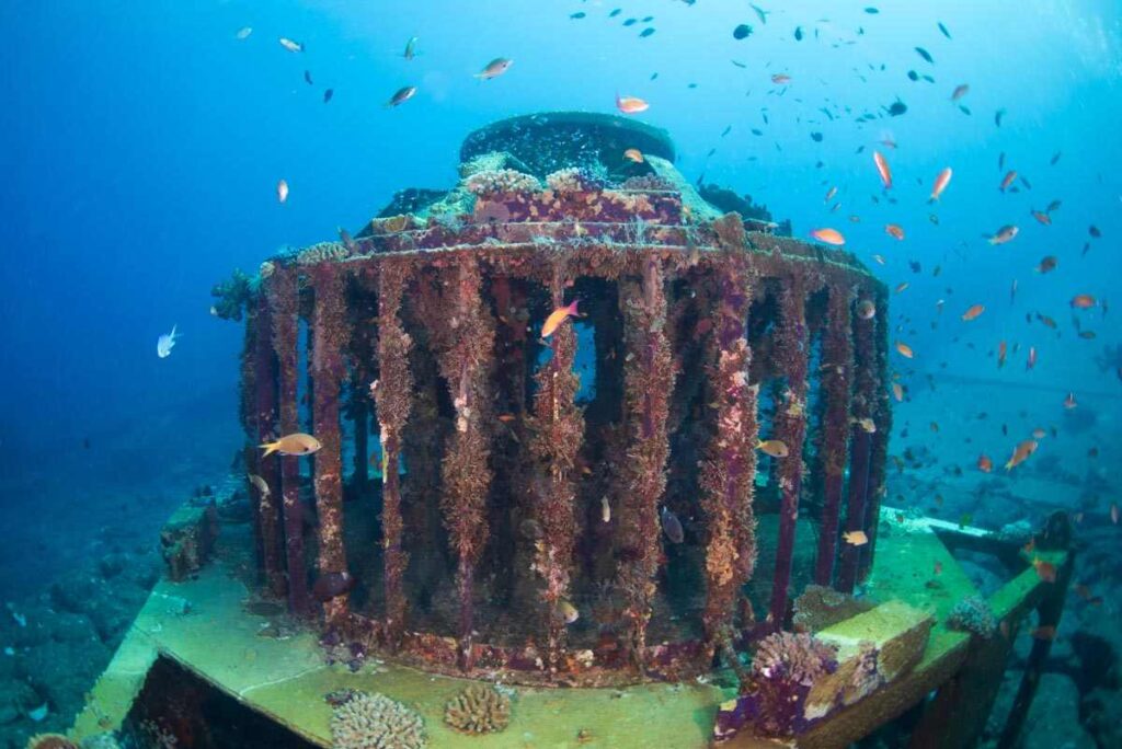 美ら海水族館の沖・秘密基地の人工物 ②