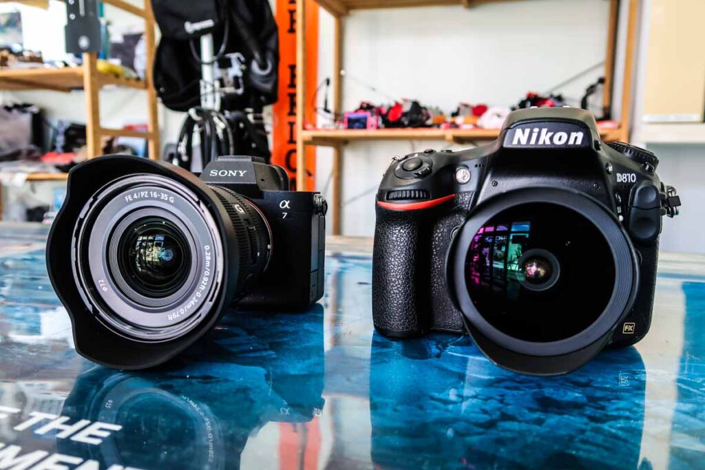 Sony α7 IV(左) & Nikon D810(右)