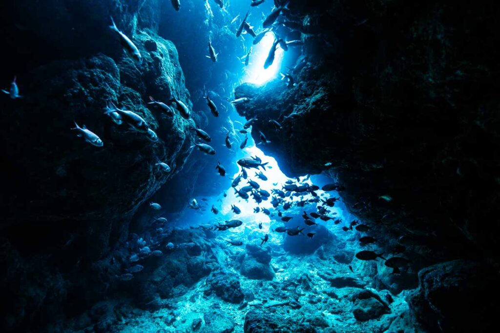 瀬底島のラビリンス・幻想的な水中世界