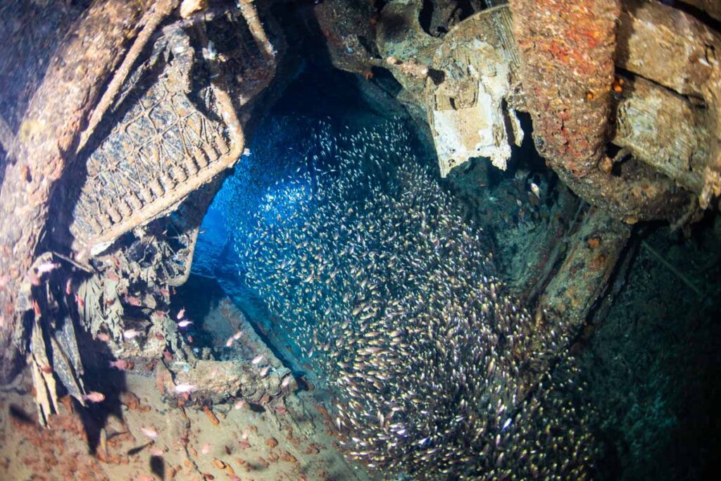 エモンズ(USS EMMONS)の寝室・キンメモドキの群れ